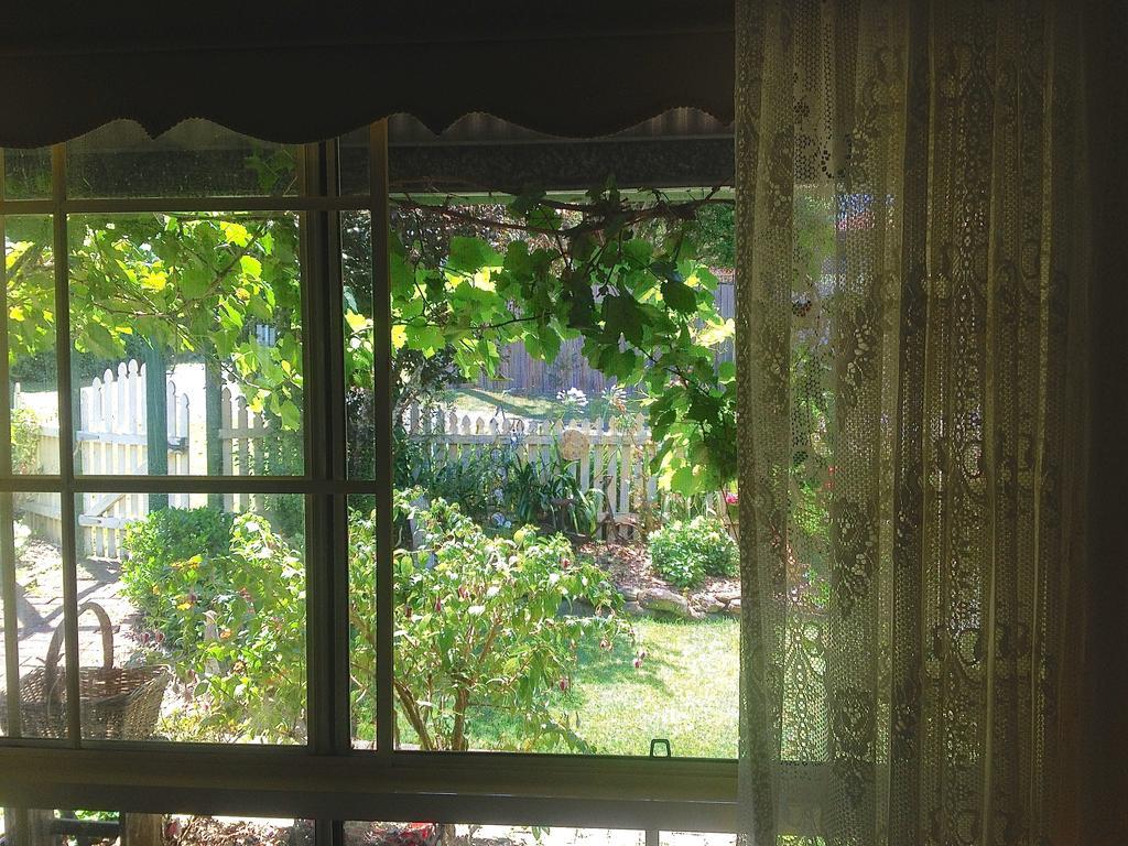 Blue Gum Cottage On Bay Bensville Rom bilde