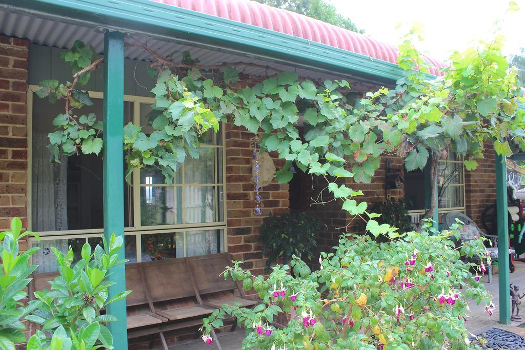 Blue Gum Cottage On Bay Bensville Rom bilde